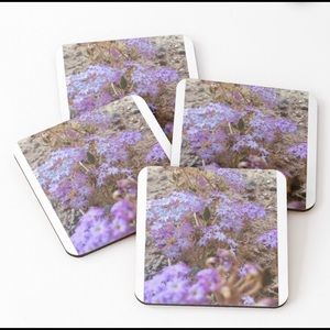 Desert flowers collection